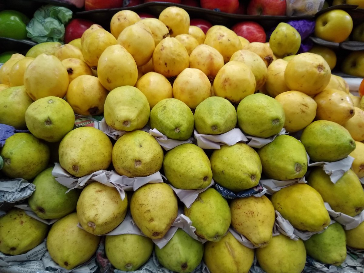 ColVilladCortes's tweet photo. 🍊 Domingo de mercado y frutas de temporada 🍋  
 #villadecortés #detemporada #vecinos #felizdomingo #mercado https://t.co/LH8AYGRBpX