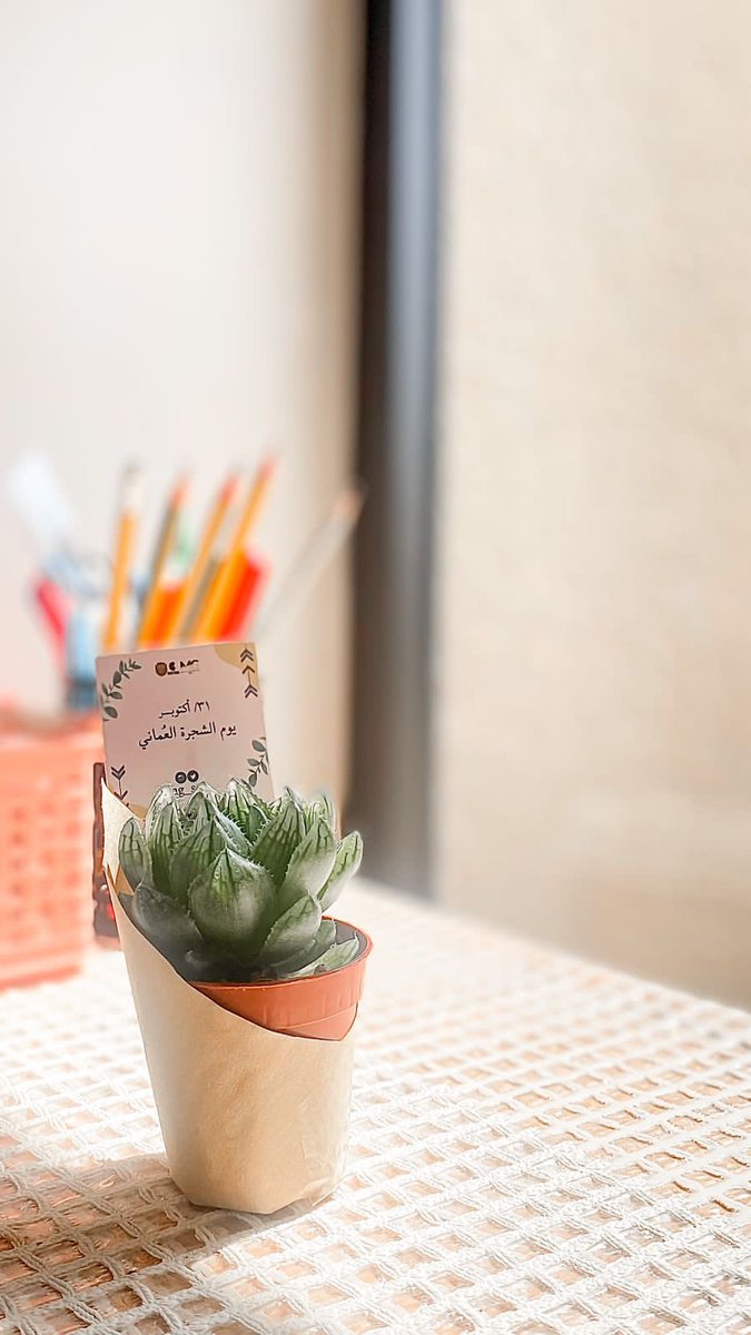 تأكيدا لأهمية الشجرة بأنواعها المختلفة والمساهمة في الحفاظ عليها .. 🌳 💚 

قدمت مجموعة الإدارة فعالية يوم الشجرة العماني 🌵🤍
٣١ أكتوبر 

📍كلية الإقتصاد والعلوم السياسية
 (الطابق الأرضي).