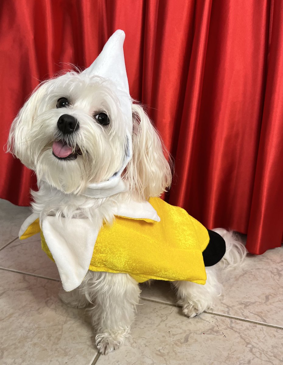 lannathemaltese tweet picture
