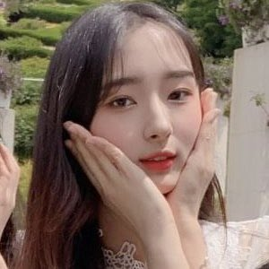 nugupromoter's tweet photo. Im Changjung (CEO of YES IM Entertainment) has shared that his new girl group will be debuting in March or April 2022

Some trainees (rumored &amp; confirmed) at the company are:
- Yoon Jia 
- Bok Jiyeon
- Shim Youngwon
- Cho Heejin
- Kim Yueun
- Luna https://t.co/TmUCu6KYpH