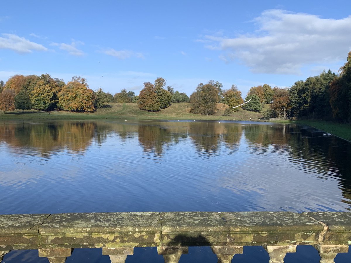 jjohnstorey's tweet photo. ⁦@fountainsabbey⁩ a lovely autumn afternoon in Fountain’s Abbey. https://t.co/Zgpbkqw3wK