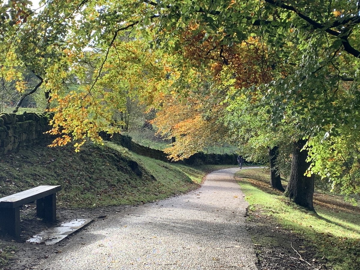 jjohnstorey's tweet photo. ⁦@fountainsabbey⁩ a lovely autumn afternoon in Fountain’s Abbey. https://t.co/Zgpbkqw3wK