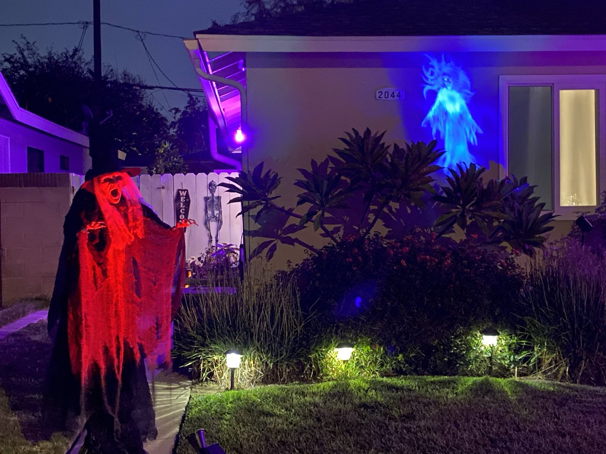 MoniCute72's tweet photo. Ⱨ₳₱₱Ɏ Ⱨ₳ⱠⱠØ₩ɆɆ₦ ₥Ɏ ₱ⱤɆ₮₮łɆ₴ 🧙‍♀️

My theme this year was witches &amp; skeletons, so I made a set of four skeletal witches for my lawn display plus other decor. The kids love it ☺️💀 #halloween2021 https://t.co/4UmJY00F8z