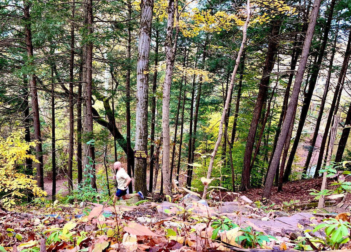 Insight_Minds's tweet photo. Let’s #run! @PATHprojects #RunYourPath #trailrunning https://t.co/tdfzIIv39U