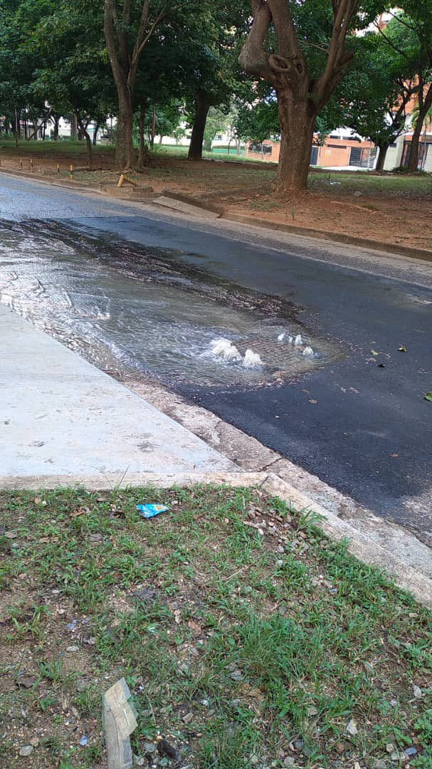LaTrigalena's tweet photo. Atención @Hidrocentro2011  Urge destapar tanquilla de aguas negras en la calle 129 de La Trigalaña. El desbordamiento está afectando a los edificios aledaños poniendo en riesgo su salud y afectando calidad de vida https://t.co/ITqpxBxSSF