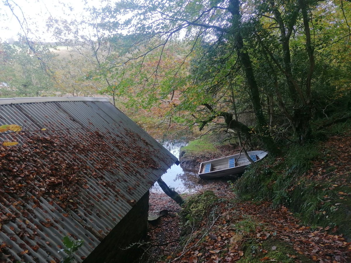 Walking the woods where parts of #ZedAndTheCormorants is set by @clareowenwriter and the boathouse never fails to fill me with awe 🍂⚓ @ArachnePress #Cornwall