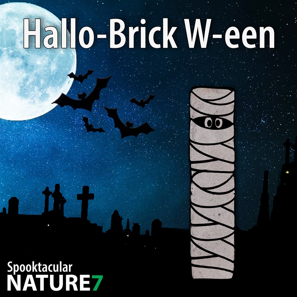 🧱 𝘽𝙧𝙞𝙘𝙠𝙮 𝙃𝙖𝙡𝙡𝙤𝙬𝙚𝙚𝙣 🎃

Happy Halloween! 
Een dag waarop een gevelsteen ook eens mummie wezen mag.

🧱 Spooktacular #Nature7Brick W
👉 bit.ly/BrickW

#Halloween #HandMade #Ecological #Brick7