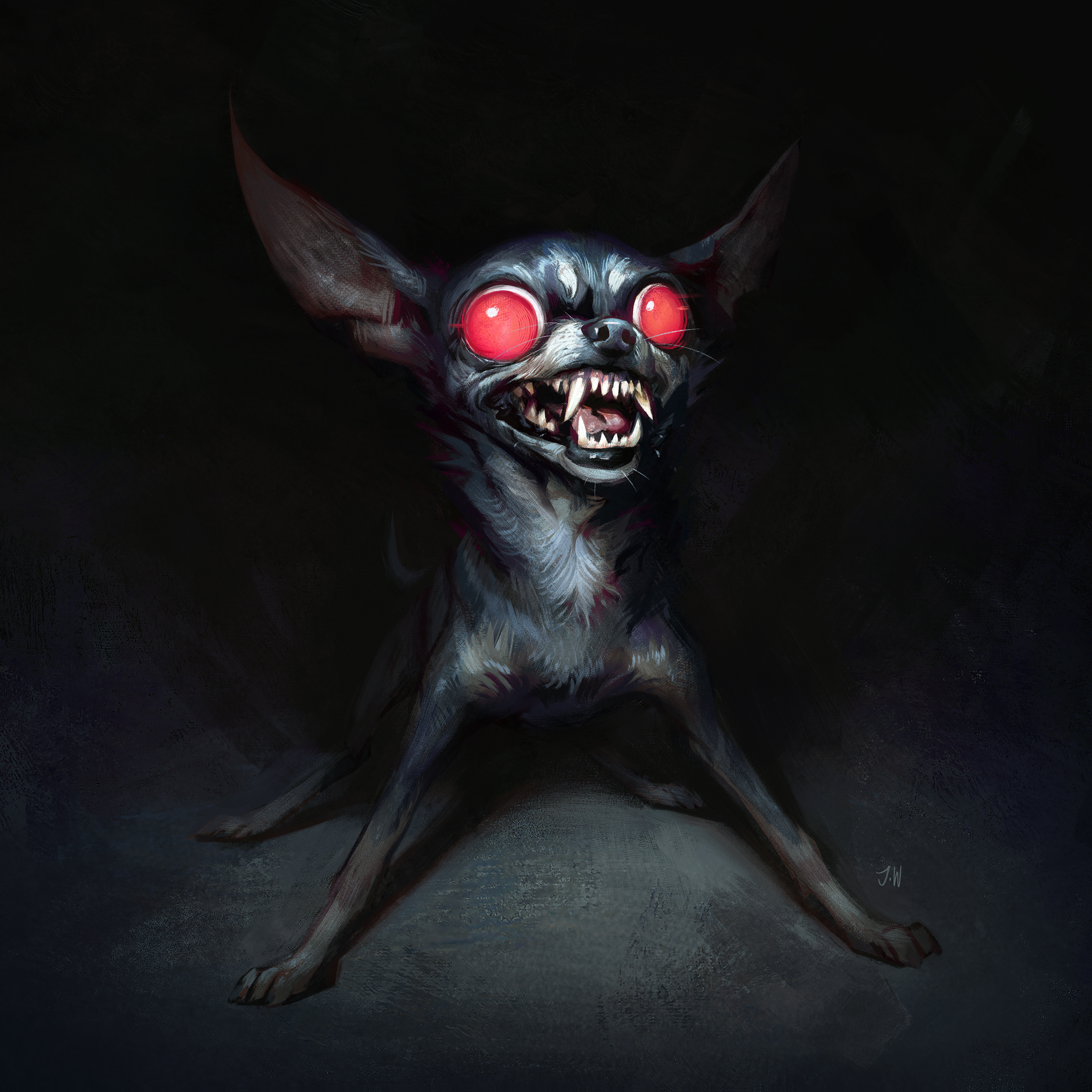 Funny hotsell angry chihuahua