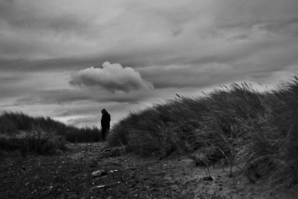 Stephen Curry tweet media