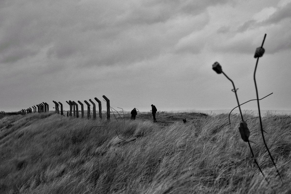 Stephen Curry tweet media