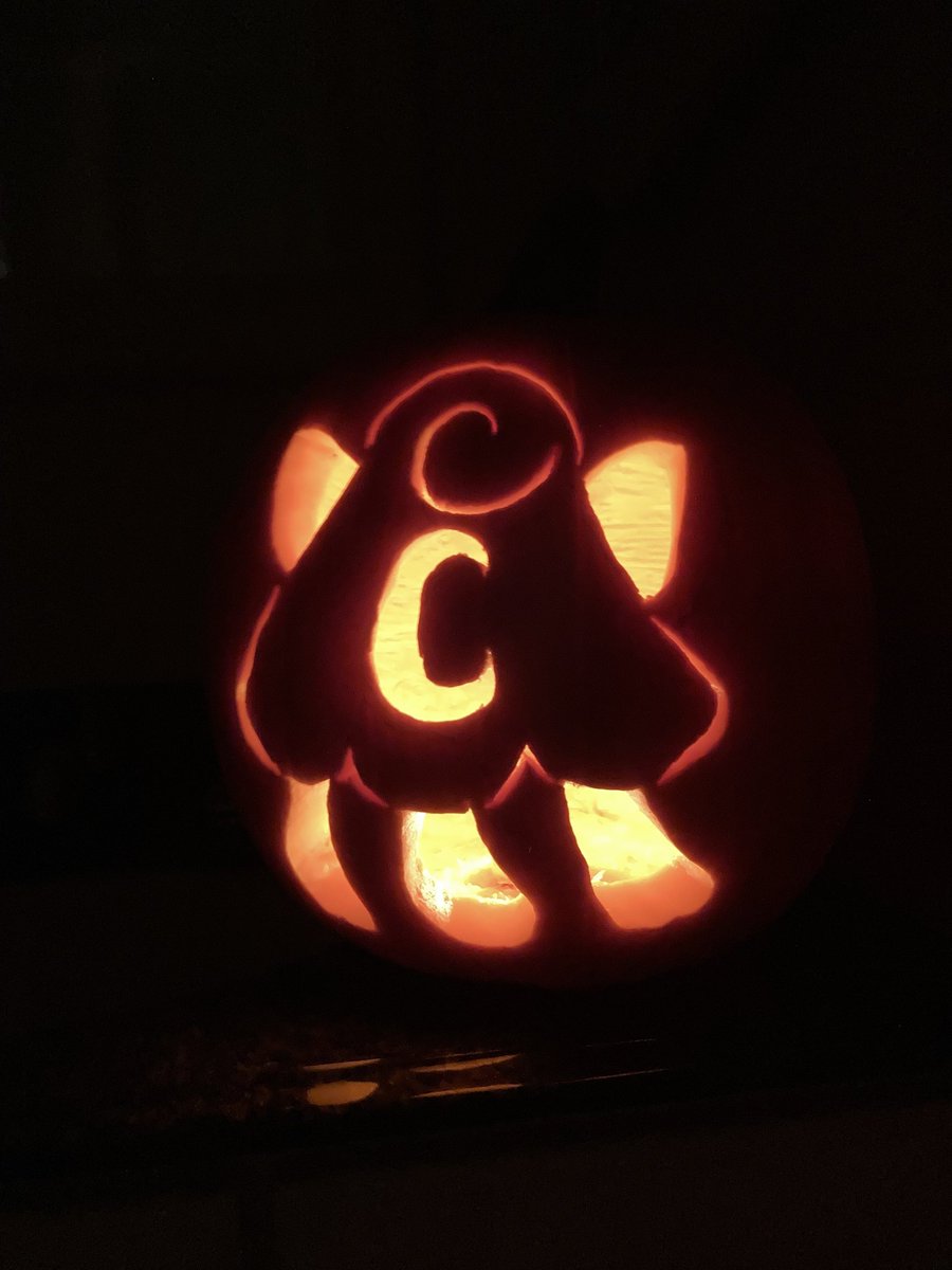 Nova Island tweet media