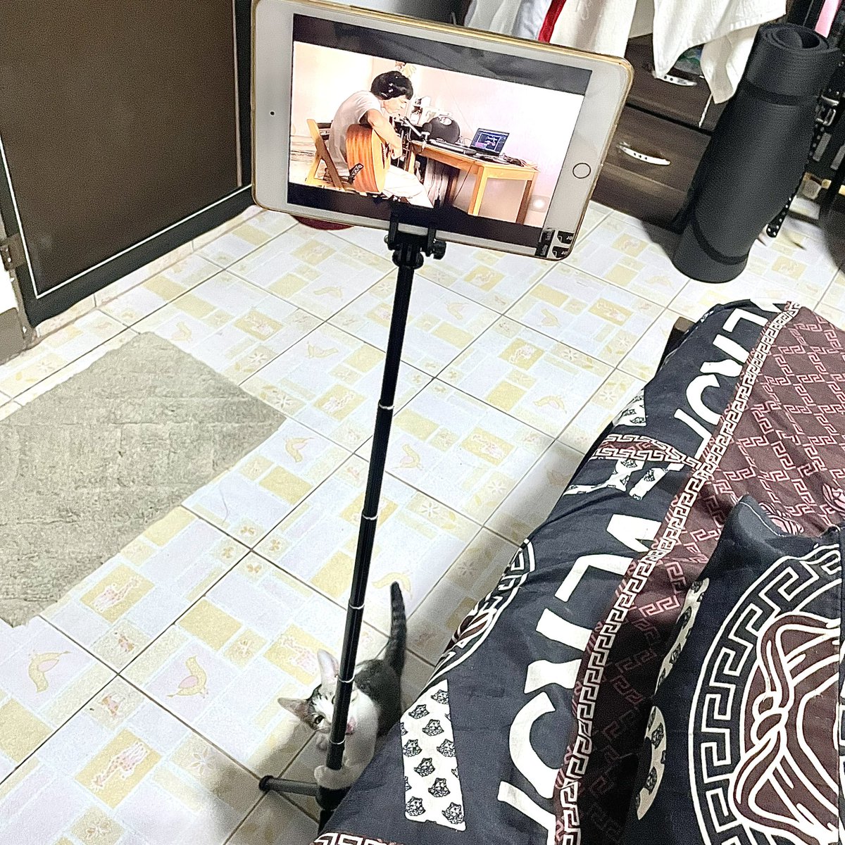 eyeyevii's tweet photo. ขาตั้งอันนี้จิ๋วแต่แจ๋วมากอ่ะ ไปคาเฟ่ไม่ต้องพกขาตั้งอันใหญ่ไปแล้ว 55555555555 น้องอันเล็กพกสะดวกเว่อ รูดสูงได้ถึง 112 cm. หรือจะถือเซลฟี่ก็ได้ จับถนัดมือมาก ใครจะเอาไปวางไอแพดก็ได้นะ เอาวางข้างเตียงพอดีเลย อันเดียวคือคุ้มอ่ะ ทำได้หลายอย่าง 555555 #ไว้รีวิวห้ามขายของโว้ยย https://t.co/PGAOjVk42Y