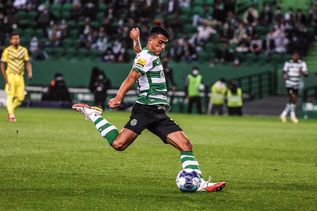 Sporting CP on X: 3️⃣0️⃣0️⃣ jogos de Leão ao peito