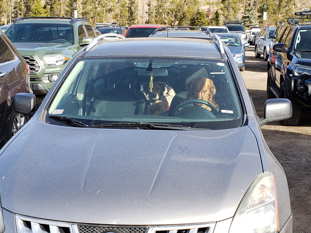 Dogz be like, I wish I could ski at <a href="/KeystoneMtn/">Keystone Resort</a> !