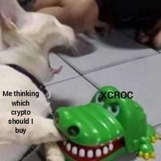 XCROC tweet media