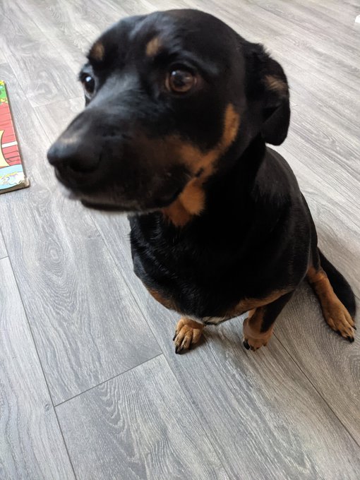 My baby. 💕 https://t.co/WqZ9tW5ouM