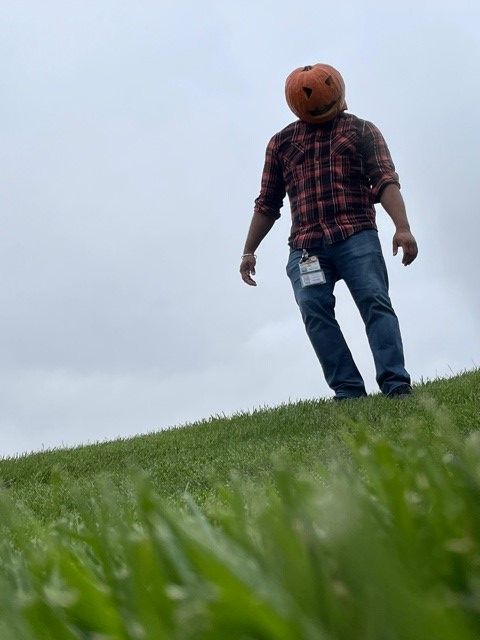HarrahsKC's tweet photo. When black cats prowl and pumpkins gleam, may luck be yours on Halloween. #WeTakeFunSeriously #pumpkinhead #halloween #spooky #pumpkineverything #pumpkinseason https://t.co/SBWQDr4N5D