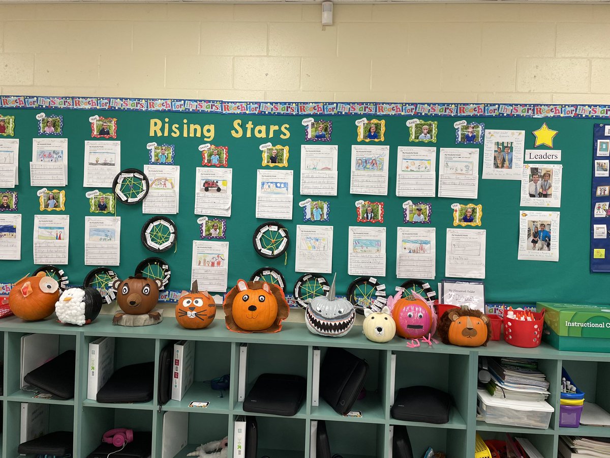 LisaPatt1's tweet photo. My students Animal Pumpkins. They created them in the image of the animal they were researching. @CESCorkyBear https://t.co/KQCwlqekCD