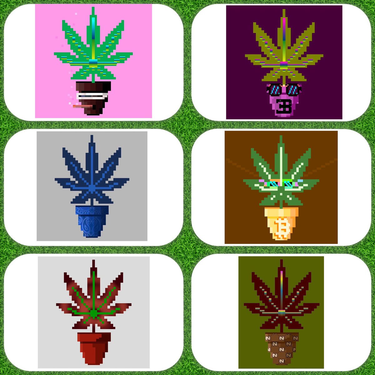 ethybuds's tweet photo. @Rugal_Bull Real world Metaverse Cross Pollination.
🪴 x 💻 
@ethybuds is set to spark the adoption of Ethereum strains on the Blockchain and in your hand.
#nft #nfts #nftcollector #nftcommunity
Follow for more https://t.co/Jn47yxocdw