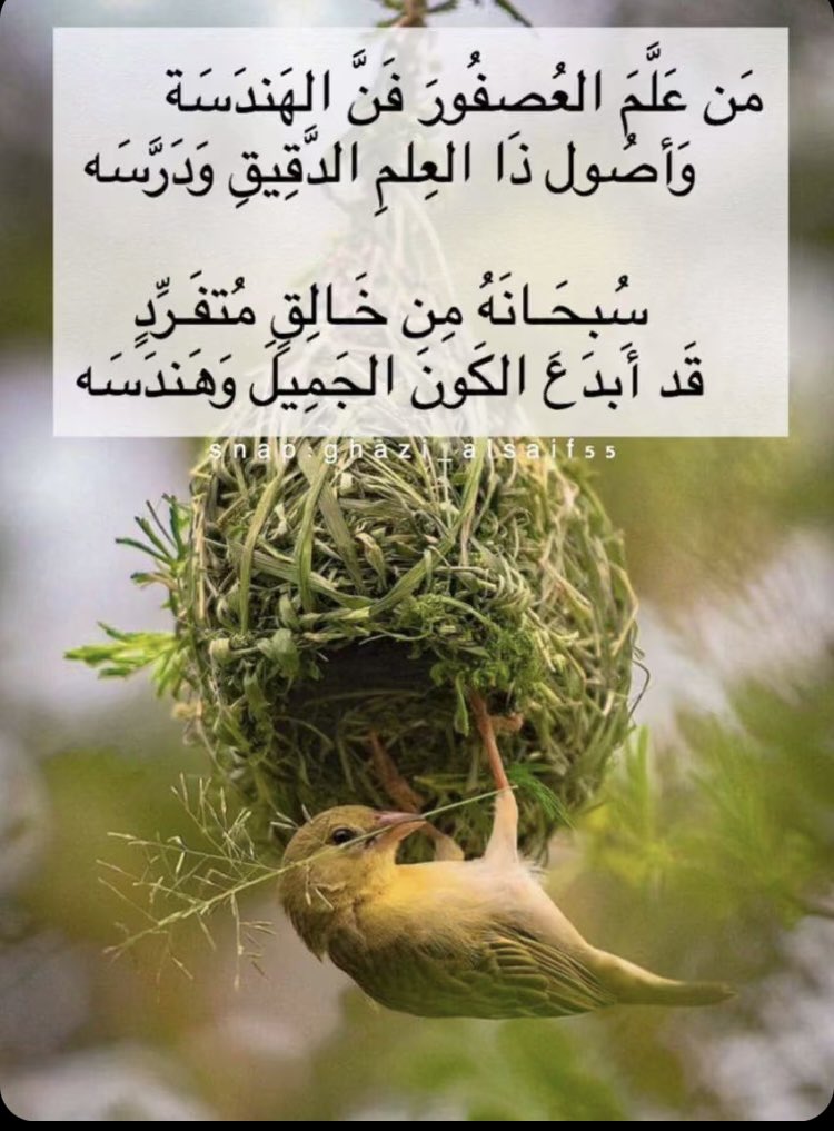 i_flower22's tweet photo. سبحانك ياربِ ماأعظمك__ سبحان الله وبحمده عدد خلقه ورضى نفسه وزنةَ عرشهِ ومداد كلماته ..!  # هدوء https://t.co/Tz7m12OgT7