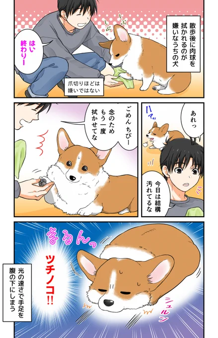 変身する犬
#犬の日 