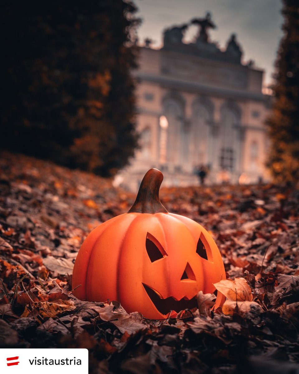 waidringerhofes's tweet image. Posted @withregram • @visitaustria Someone's practising being creepy 😉 .
Unfortunately he's lost, do you know where he is? 🤔
Happy Halloween! 🎃

📸pic by @christian_kremser

#feelaustria #halloween #cbviews #quiz #creepy #pumpkin #spooky #trickortreat
