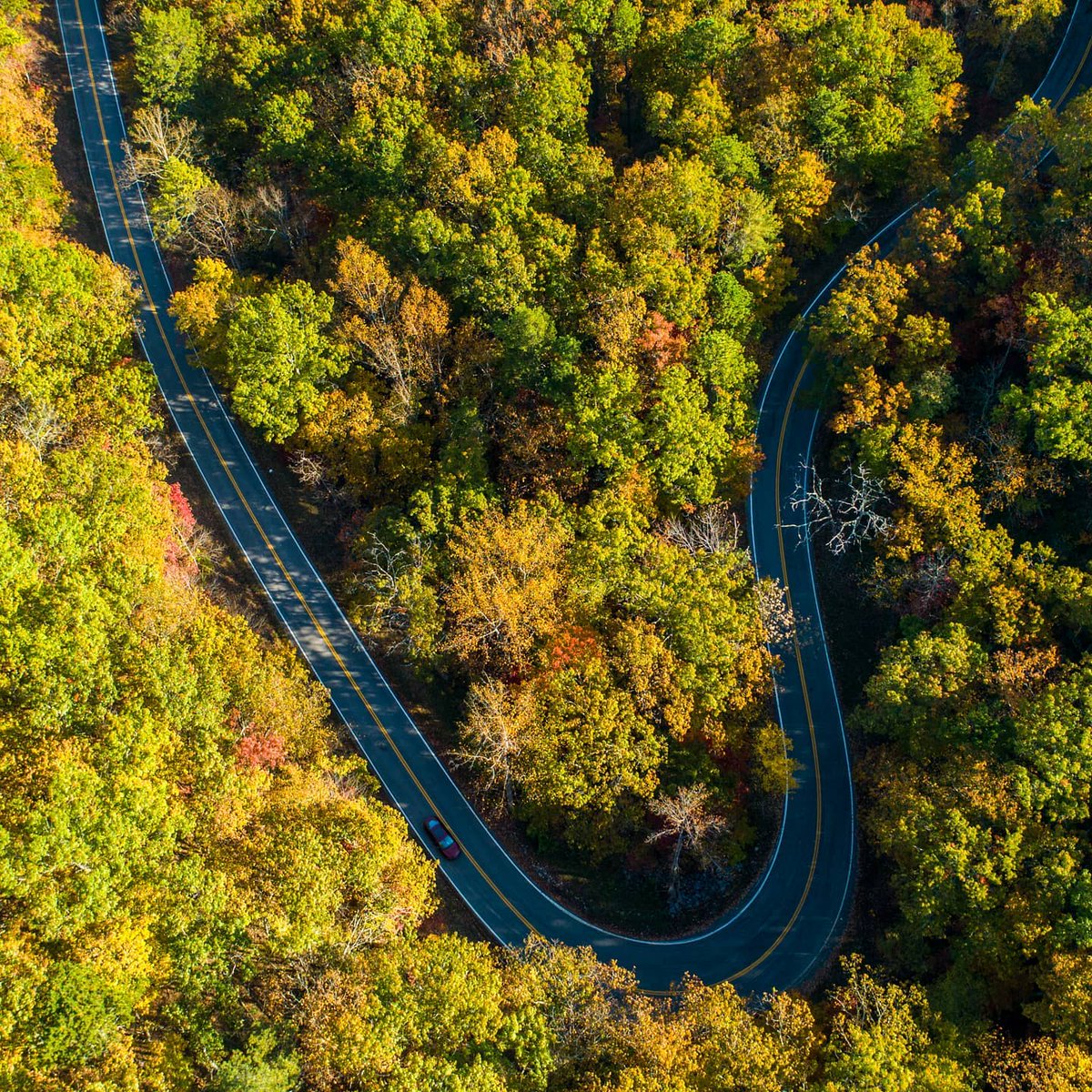 TownBuchananVA's tweet photo. ROAD TRIP! FALL in love with BUCHANAN, VA Plan your Visit during Peak Fall Colors NOW From the BLUE RIDGE PARKWAY AT MILEPOST 90.9, from  I-81 at Exits 162 &amp; 168.  US Route 11 is our Main Street. Shop, Stroll, Dine, Hike, Bike, Play &amp; Stay https://t.co/udVS5it04T #botetourtcounty https://t.co/KUTmIfQGgx