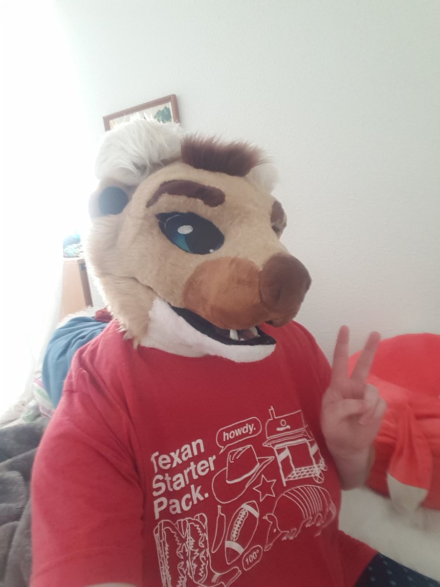 cedarspiced's tweet photo. guess who's almost completely done 👀 #fursuit #fursuitmaker #fursuiter https://t.co/g9ZlPBlDg0