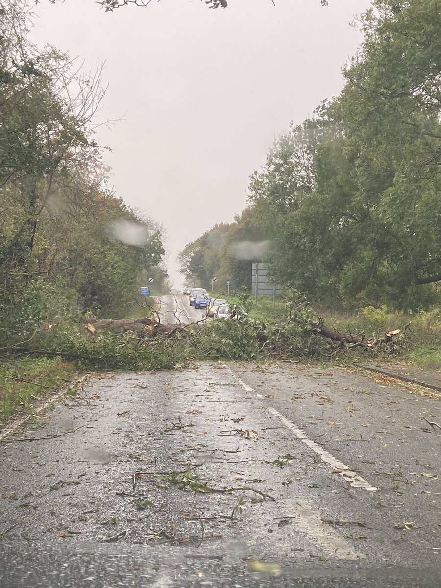 Mike.... LLB (Hons) tweet media