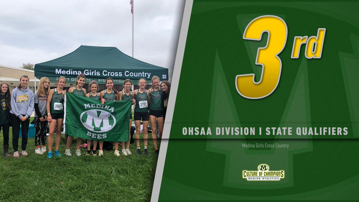 Congratulations to the Girls Cross Country team on qualifying for the OHSAA Division I State Championship Meet next weekend at Fortress Obetz!  Way to go Bees!!