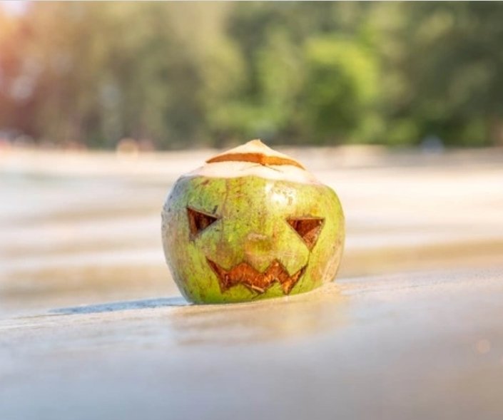 OrganicToGreen's tweet photo. Happy Halloween!! 👻🎃

Spooktacular sale!!
Last day! 40% off on our Signature Coco Oils ✨

🥥Non-Fragrance
🥥Rose
🥥Ginger
🥥Jasmine Ylang-Ylang
🥥Vanilla Chamomile
🥥Lemon

Use code at checkout : SPOOKY40
Get it now before it's too late!! 👻👻👻 https://t.co/9vmA2iBbRu