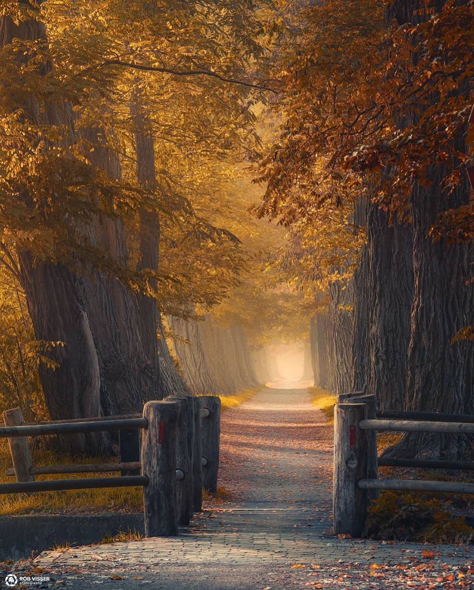 Margo_Happy_03's tweet photo. #осень #природа #красота https://t.co/KLD4e7qF7w