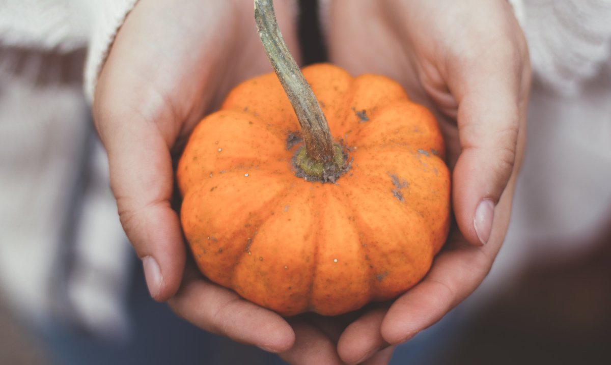 conchalabs's tweet photo. Hear every "Boo!" and "Trick or Treat" this Halloween! https://t.co/3eT4OOsnBN #HearHalloween #HearClearlyLiveFreely #ConchaLabs #HappyHalloween https://t.co/xqqUqIGGou