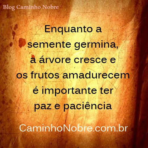 SaberEspirita's tweet image. Ter paciência é aprender a ciência da paz

Tudo tem o seu tempo. Tudo tem seu ciclo de vida e seu próprio ritmo.

Tempo de plantar e depois esperar a colheita. A vida tem seu fluxo.

A paz depende de aceitar e respeitar. Aceitar as diferenças, respeitar os limites

Regis Mesquita
