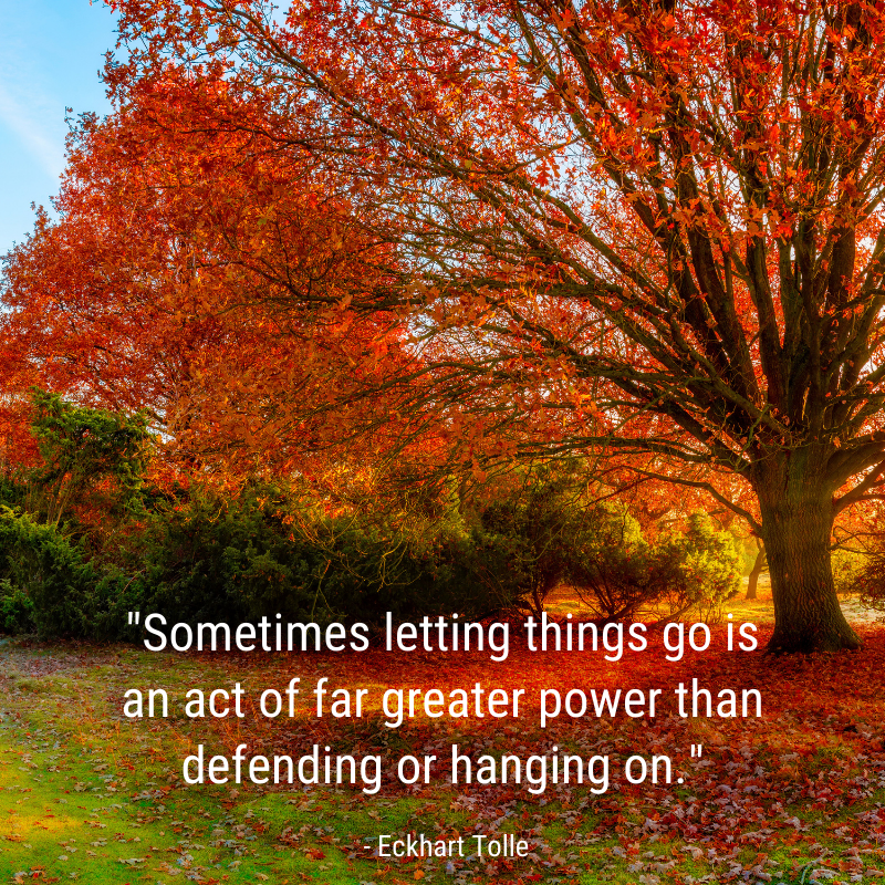 EckhartTolle's tweet photo. "Sometimes letting things go is an act of far greater power than defending or hanging on." -Eckhart Tolle https://t.co/ez98l0cYk4