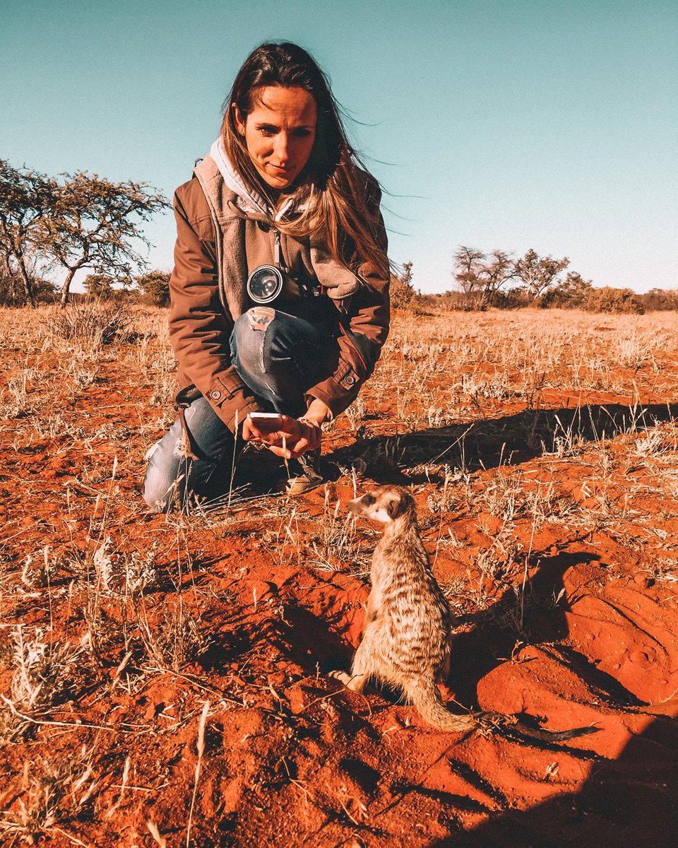 andbeyondtravel's tweet photo. “Making meerkat friends in the Kalahari…” - a photo by @ClaireTrickett - @andbeyondtravel Editor & Travel Blogger | 📍: @Tswalu, South Africa | #seewhatliesbeyond #andbeyondtravel #bateleurmagazine #theworldmadelocal #tswalu #kalahari https://t.co/Axk8jVmNst