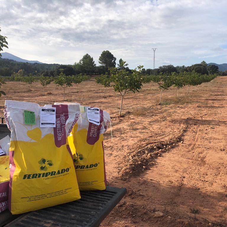 RihSegura's tweet photo. Nuestra finca experimental y demostrativa "Bonilla" luce así de bien con sus jóvenes nogales.

Lucirá mejor con la nueva cubierta de tréboles aéreos y subterraneos de #Fertiprado que hemos sembrado esta semana con @olivarecologico.

#agriculturaSostenible #Agiculturaecológica https://t.co/ku6LcMjtxC
