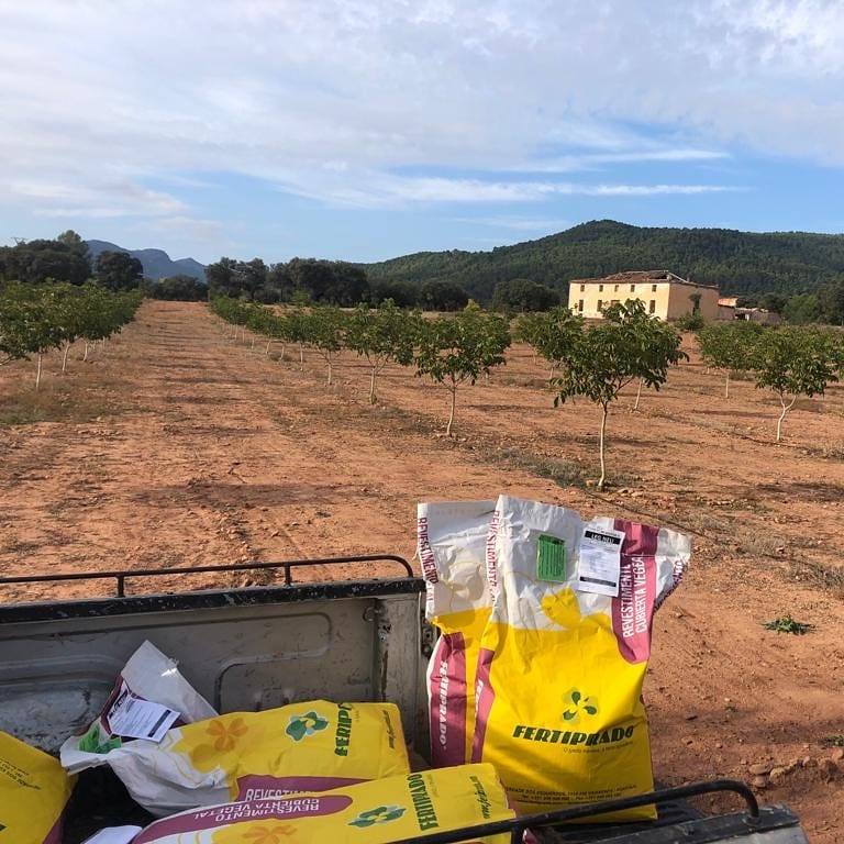 RihSegura's tweet photo. Nuestra finca experimental y demostrativa "Bonilla" luce así de bien con sus jóvenes nogales.

Lucirá mejor con la nueva cubierta de tréboles aéreos y subterraneos de #Fertiprado que hemos sembrado esta semana con @olivarecologico.

#agriculturaSostenible #Agiculturaecológica https://t.co/ku6LcMjtxC