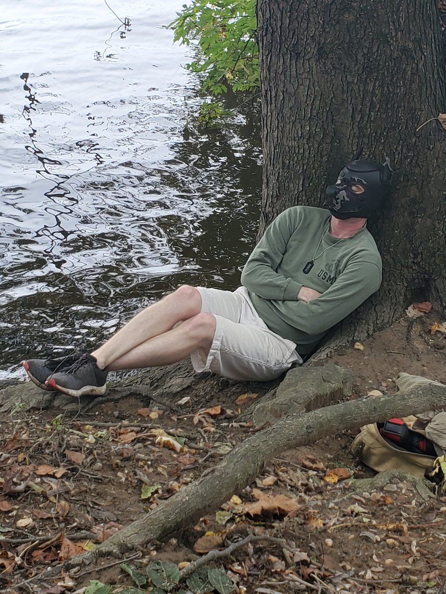 RikuPup's tweet photo. Another lovely pupventure 😊 it was a little wet today but I didn't mind.

#gaypup #gay #pupventure #gaykink https://t.co/DgIBzCuhy7