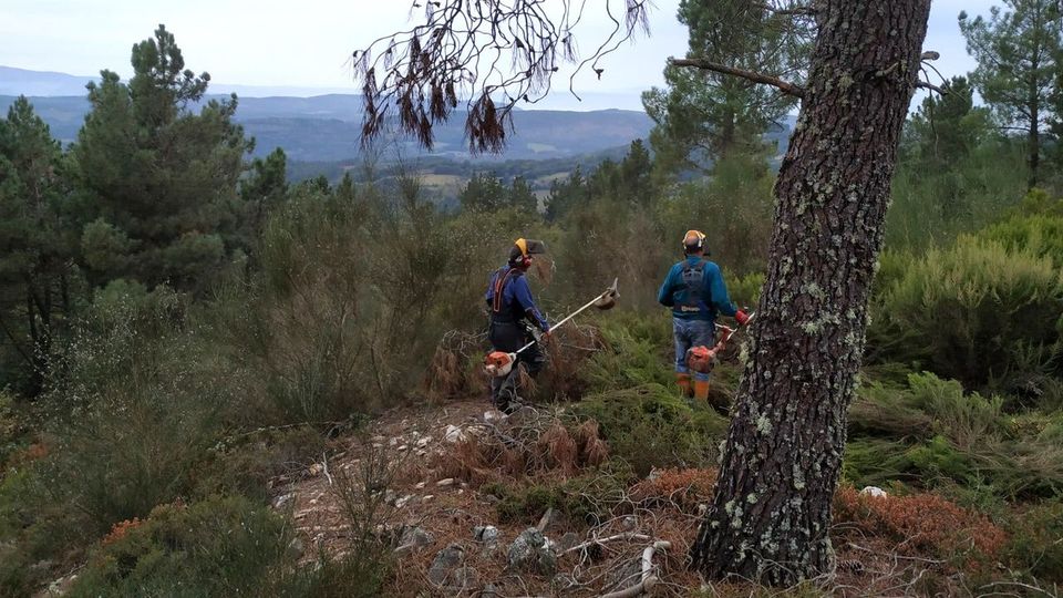 vozlemos's tweet photo. Grupos de voluntarios desbrozan el castro de Castrelao, entre A Pobra do Brollón y Monforte https://t.co/zAGcXyTyEl https://t.co/buJDpN75uM