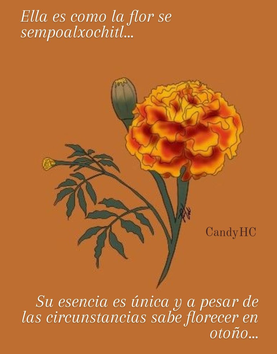 CandyAkasha's tweet photo. #Otoño https://t.co/CRtSzrllZg
