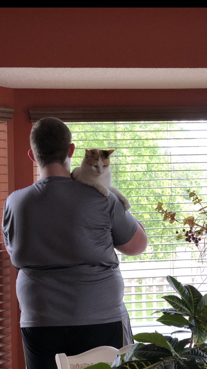 💛🧡I’m sorry to say the most loved Cookie Dough has passed over the rainbow bridge. She was the best cat to her best boy Eli. 🧡💛She will be greatly missed. We were blessed to have her 15 years. 🧡💛