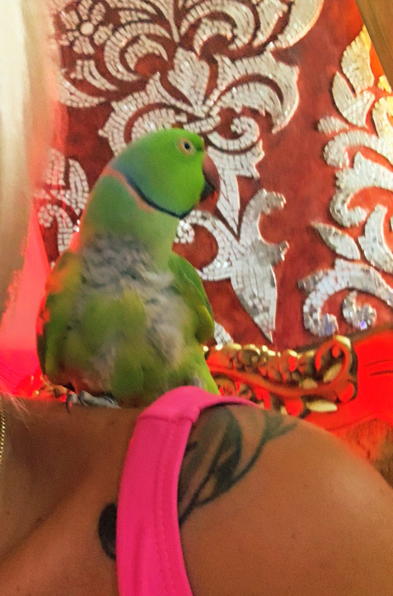 FineDivine1's tweet photo. Hey Sweetie IamJuicyJen &amp; I would absolutely love to speak with you chat and send you pictures well..... there’s 2 options 2 chat with me.... my website https://t.co/3fUqVN4huG or https://t.co/TzJ2vzmzY0   what are you waiting for let’s chat now! 💋 halloween2021 https://t.co/IHEIkLfAha