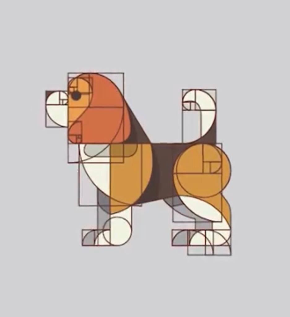 Maths | Jumeirah College tweet media