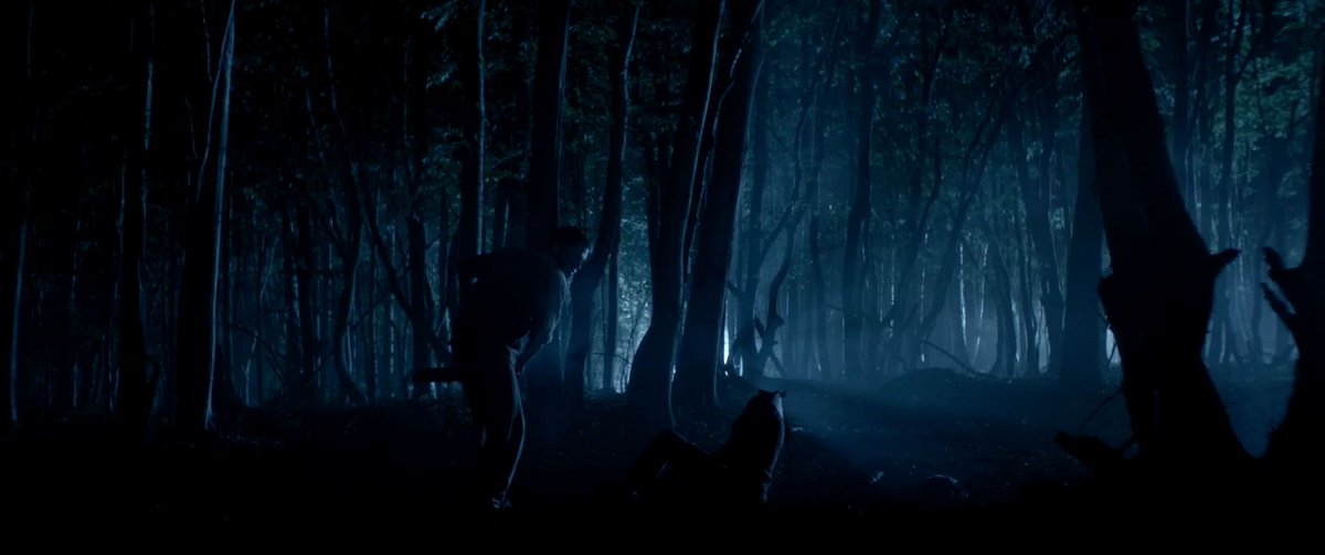 EverydayAFrame's tweet photo. Leatherface (2017) - Alexandre Bustillo &amp; Julien Maury
Cinematographer: Antoine Sanier https://t.co/S3UPowfOkW