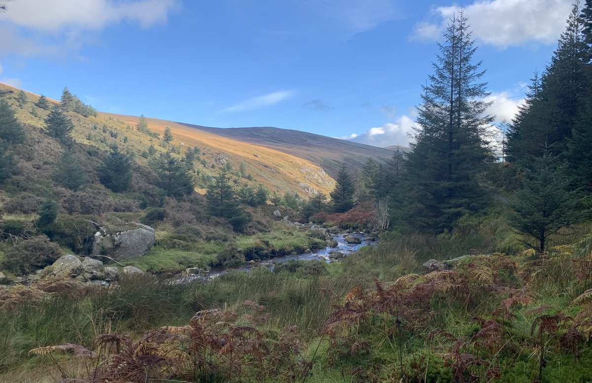sligodub's tweet photo. Glenmalure beautiful in every season #wicklowwalks https://t.co/A5mt4Mg6x0