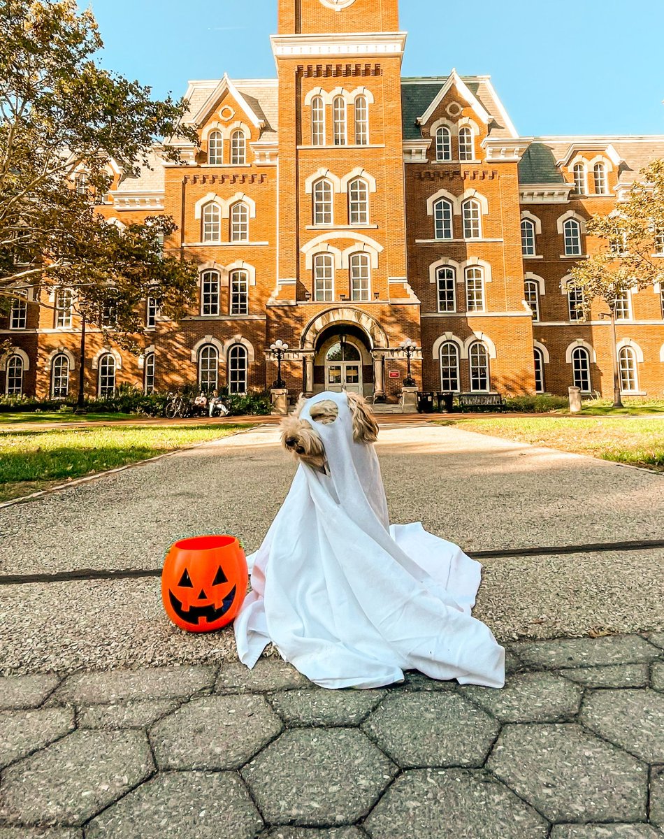OhioState's tweet photo. Campus is feeling spooky today. 👻🎃 https://t.co/TqNi2wmYsB