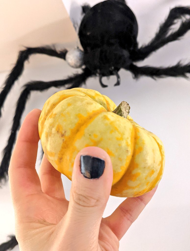 LizTheFrizzzz's tweet photo. Tiny pumpkin has been acquired! 🎃🧡 #tinypumpkins #halloween2021 https://t.co/7y4Bqc102Z