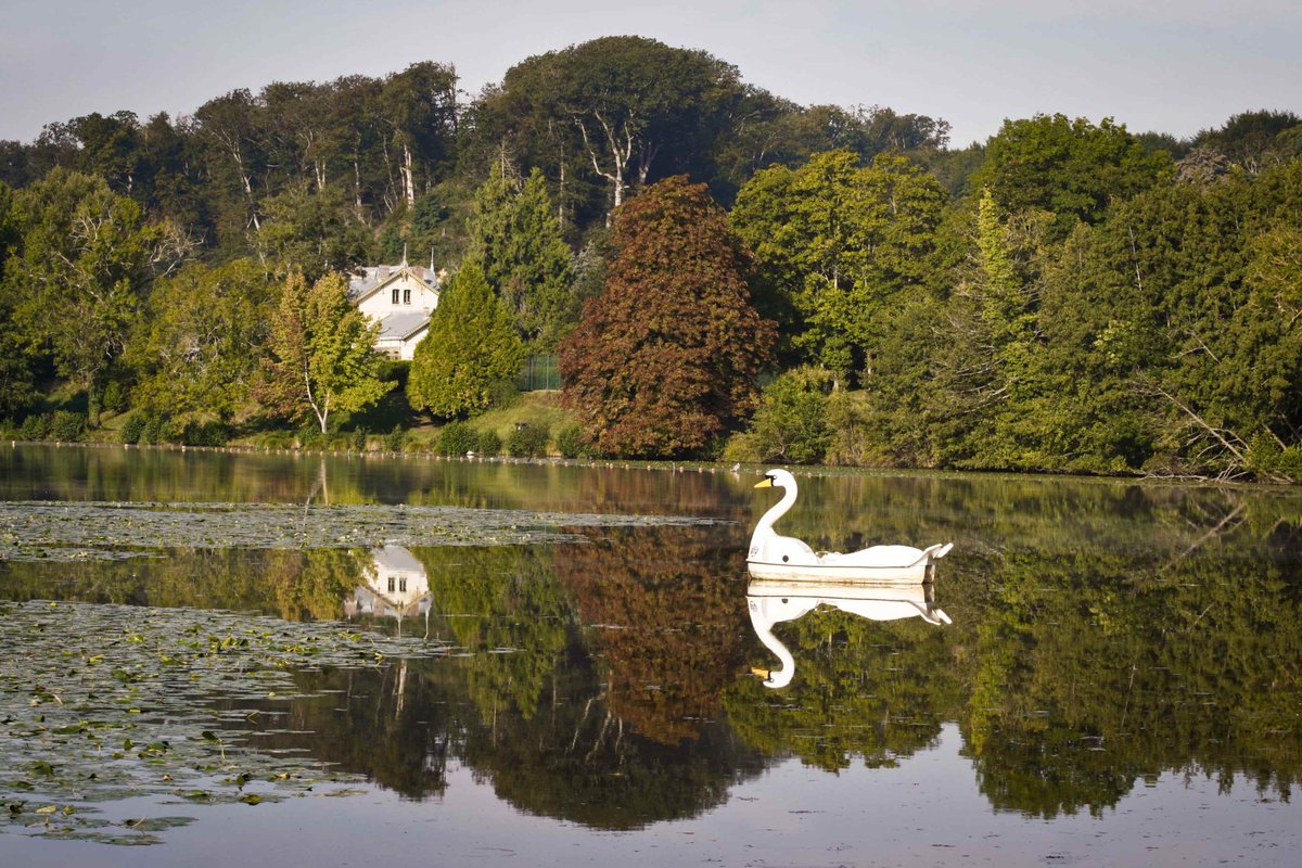 Serial Pix tweet media