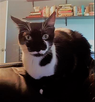 Michelle Fern tweet media